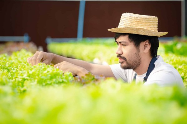 Guide simple pour cultiver votre premier jardin